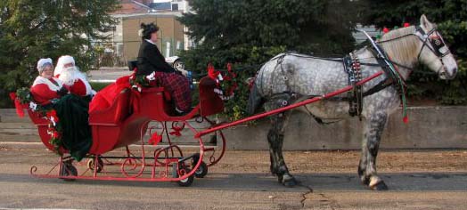 Benchfield Farms, Christmas Sleigh